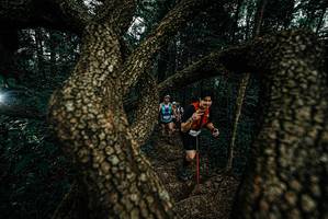 BIB: 
                            <button type="button" onclick="openModal(25699197)" class="btn btn-primary btn-sm float-right btn-popup" data-toggle="modal" data-target=".modal-high-quality">
                        <i class="fas fa-shopping-cart"></i> Add to Cart
                    </button>
                                            <button type="button" onclick="isThisMe(25699197, true)" class="btn btn-success btn-sm float-right btn-popup btn-isme hidden" data-toggle="tooltip" data-placement="bottom" title="นี่คือรูปของคุณใช่ไหม คลิกที่นี่เพื่อเอาเข้าอัลบั้ม">
                        <i class="fas fa-plus"></i> Add to album
                    </button>
                    <button type="button" onclick="isThisMe(25699197, false)" class="btn btn-warning btn-sm float-right btn-popup btn-isnotme hidden">
                        <i class="fas fa-ban"></i> Remove from album
                    </button>